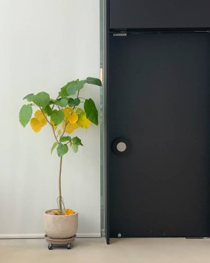 Modern oturma odasının içi.