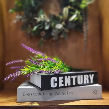 Kütüphanede bitkisi olan bir kitap.