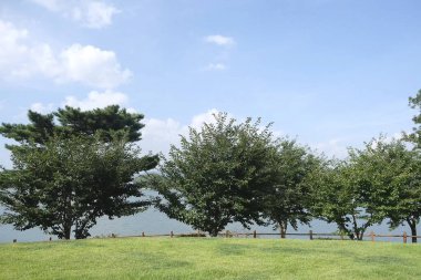 Parkın güzel manzarası