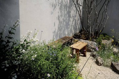 Parkta ahşap bir bank.