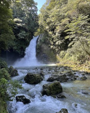 Ormanda güzel bir şelale