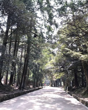 Parkın güzel manzarası