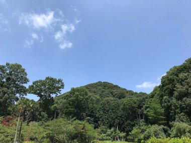 Yazın dağların manzarası