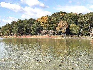 Şehirdeki eski ahşap ev.