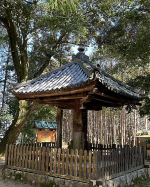 İsrail 'in kuzeyindeki en güzel yer olan kutsal şehrin tapınağı.