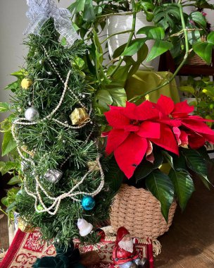 Bahçedeki güzel çiçekler