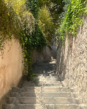 Bahçedeki merdivenler.