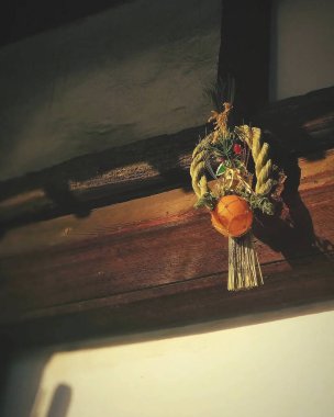 Güzel botanik fotoğrafı, doğal duvar kağıdı.