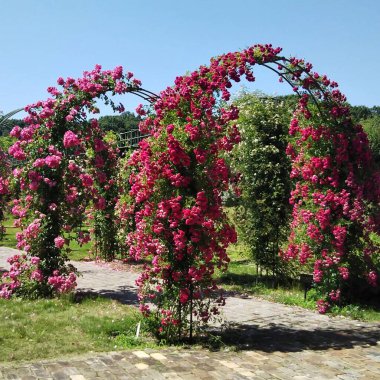Parkın güzel manzarası
