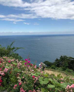 Dağlarda gölü olan güzel bir manzara.