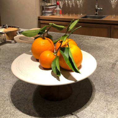 Güzel botanik fotoğrafı, doğal duvar kağıdı.