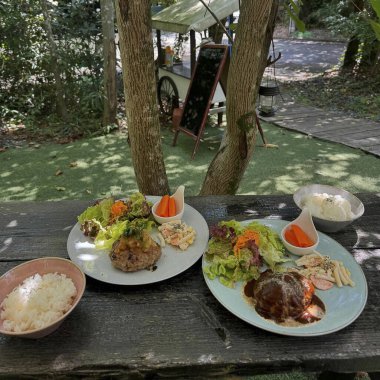 pirinç, tavuk ve sebzeler masada.