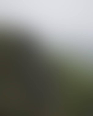 Abstract blur background of colors mixed