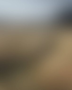 Abstract blur background of colors mixed