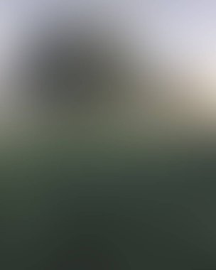 Abstract blur background of colors mixed 