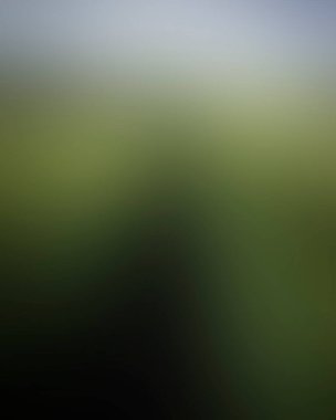 Abstract blur background of colors mixed 