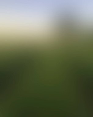 Abstract blur background of colors mixed 