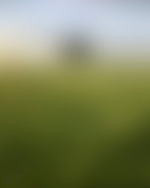 Abstract blur background of colors mixed 