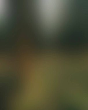 Abstract blur background of colors mixed 