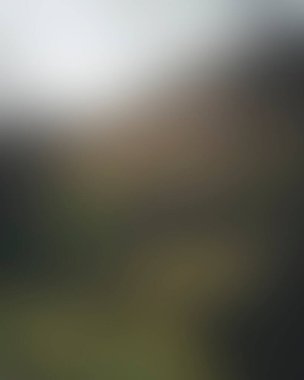 Abstract blur background of colors mixed 