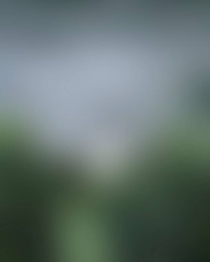 Abstract blur background of colors mixed 