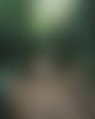 Abstract blur background of colors mixed 