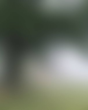 Abstract blur background of colors mixed 