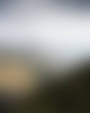 Abstract blur background of colors mixed 