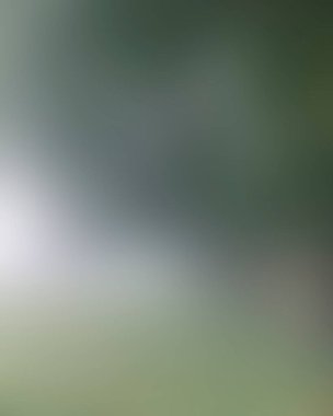 Abstract blur background of colors mixed 