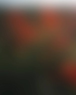 Abstract blur background of colors mixed 