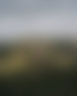 Abstract blur background of colors mixed 