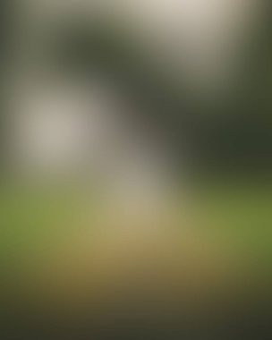 Abstract blur background of colors mixed 