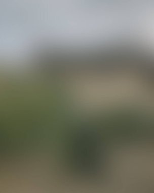 Abstract blur background of colors mixed 