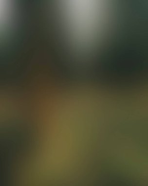 Abstract blur background of colors mixed 