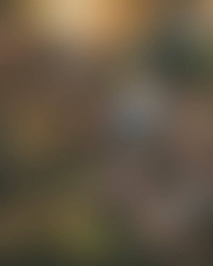 Abstract blur background of colors mixed 