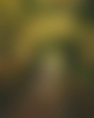 Abstract blur background of colors mixed 