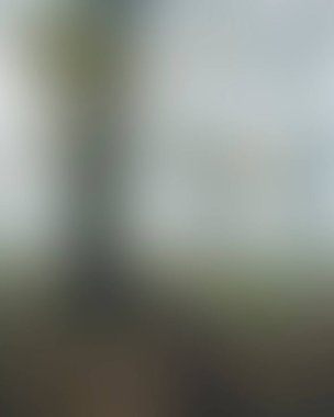 Abstract blur background of colors mixed 