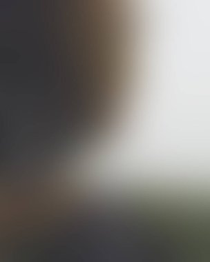 Abstract blur background of colors mixed 