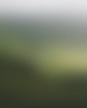 Abstract blur background of colors mixed 