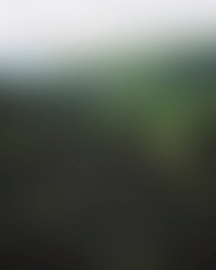 Abstract blur background of colors mixed 