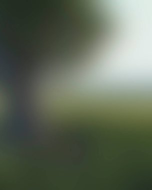 Abstract blur background of colors mixed 