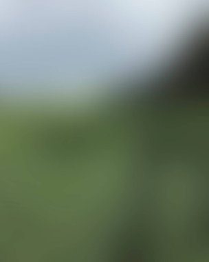 Abstract blur background of colors mixed 