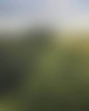 Abstract blur background of colors mixed 