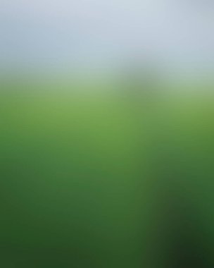 Abstract blur background of colors mixed 