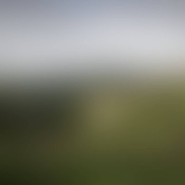 Abstract blur background of colors mixed 