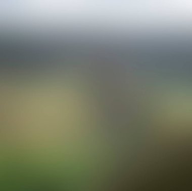 Abstract blur background of colors mixed 