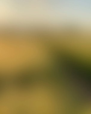 Abstract blur background of colors mixed 