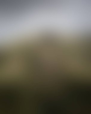 Abstract blur background of colors mixed 