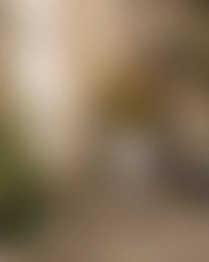 Abstract blur background of colors mixed 