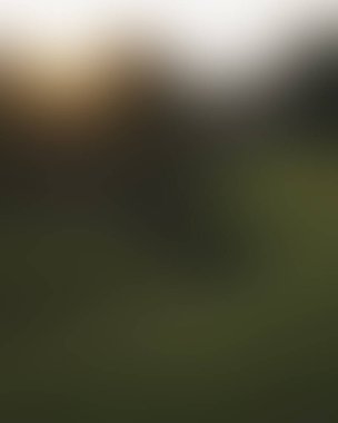 Abstract blur background of colors mixed 